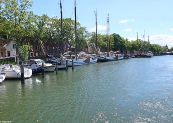 Herman 118